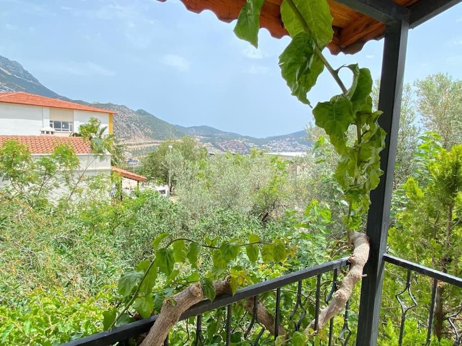 Villa Leton Kleo - Kalkan Center Exteriér fotografie